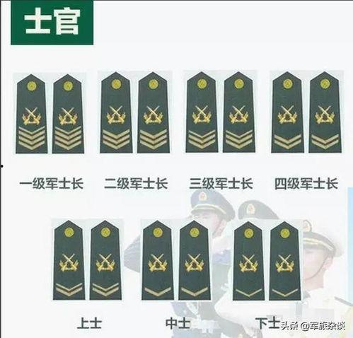 明星军衔等级,军中明星的荣耀之路