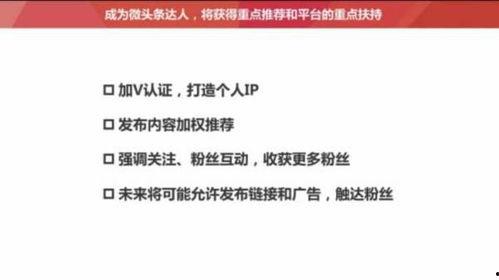今日头条看什么新闻好些,聚焦热点，洞察时事，这些新闻不容错过！