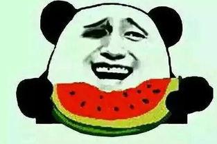 姐是吃瓜群众,姐姐们的娱乐生活与社交圈