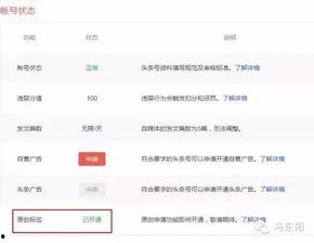 头条号里怎么开通自媒体,轻松开启你的内容创作之旅